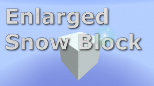 Enlarged Snow Block